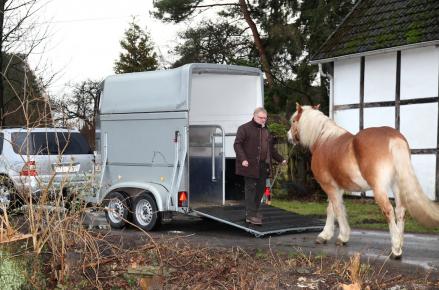 respektvoller Pferdetransport respektvoller Pferdetransport