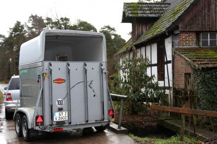 Pferdetransport videoberwacht Pferdetransport videoberwacht